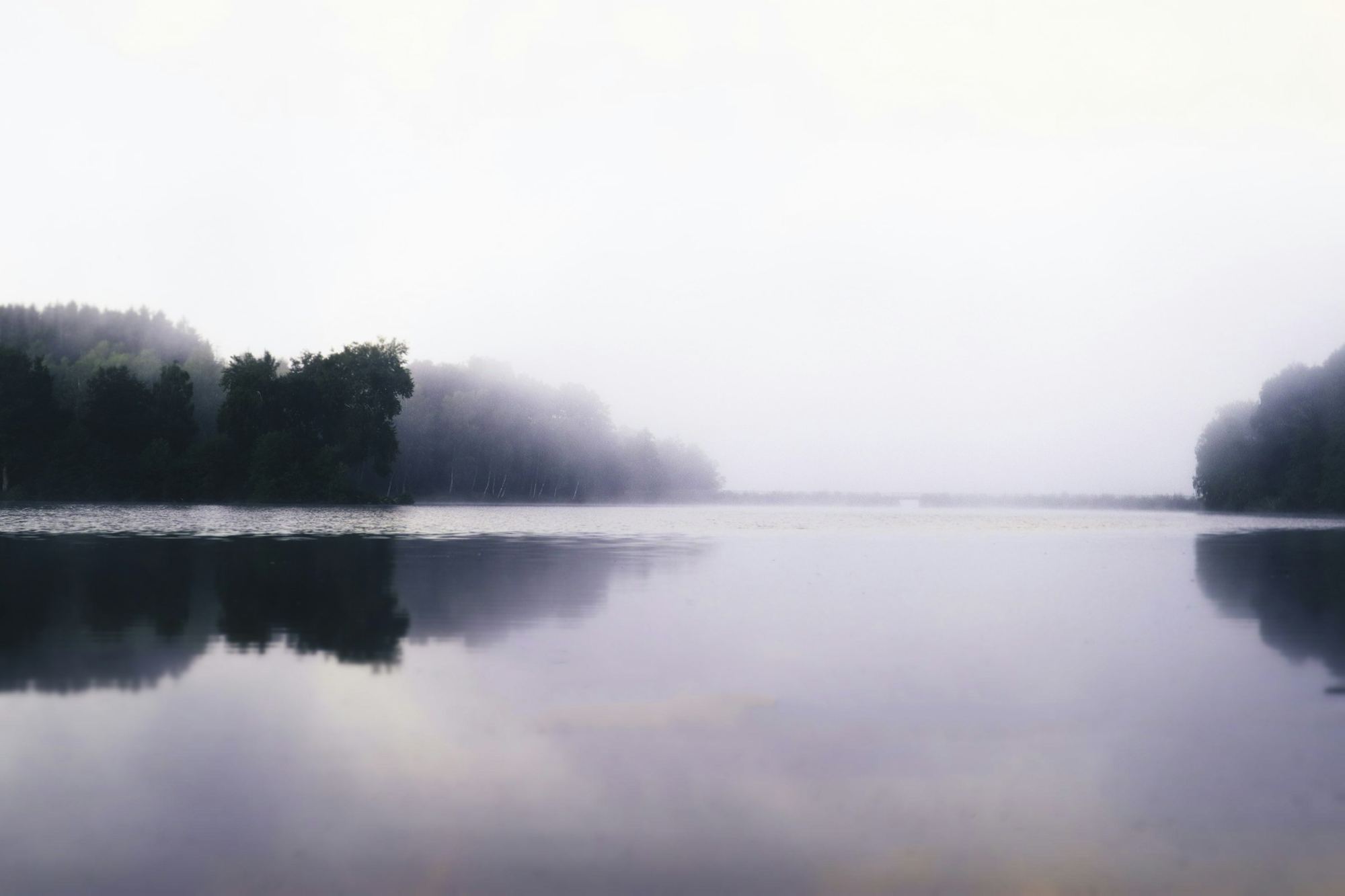 A still lake held in mist